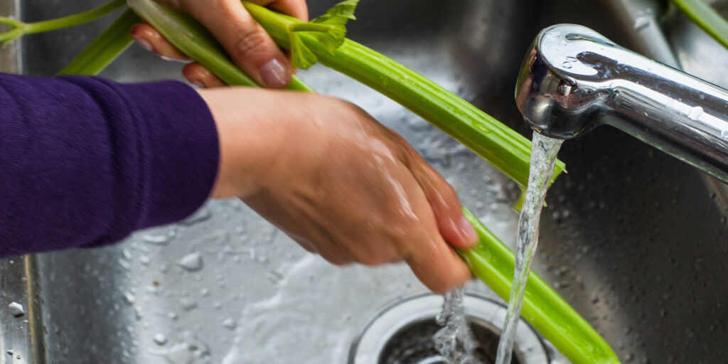 person cleaning off celery in a well working sink